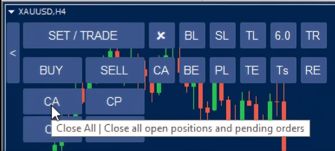 CA Control Panel View