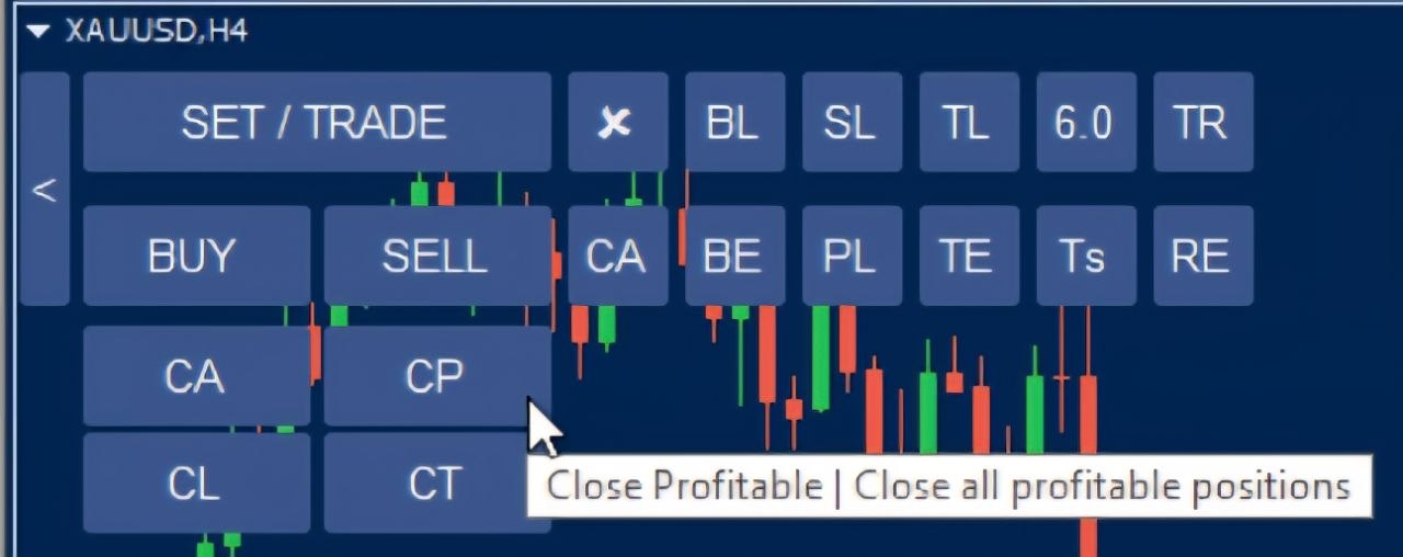 Close Profitable Positions (CP) View