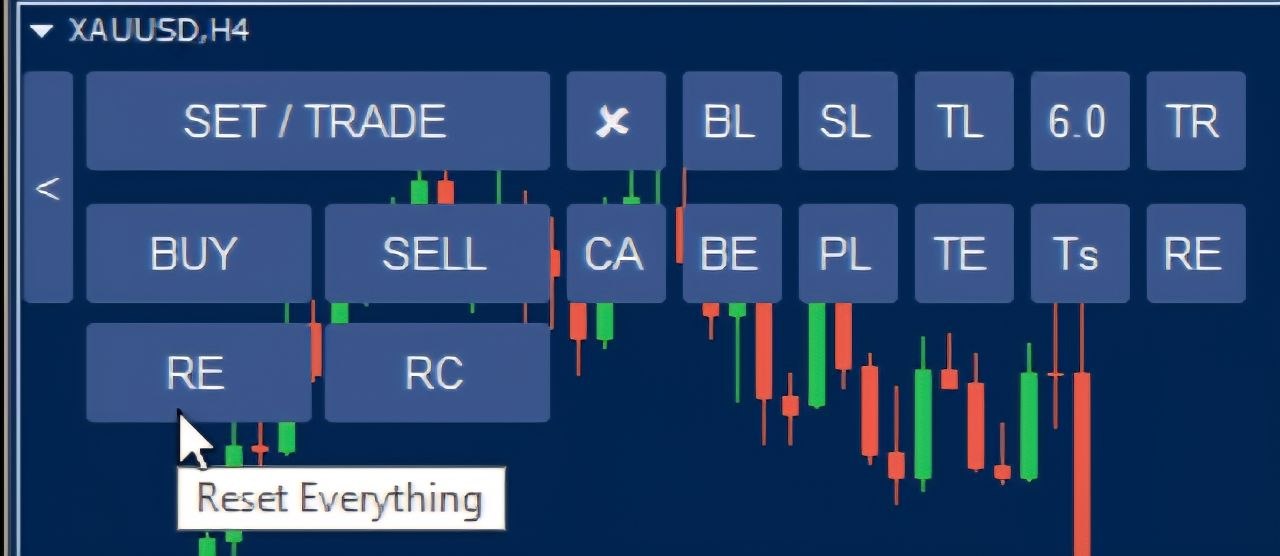 Reset Panel View